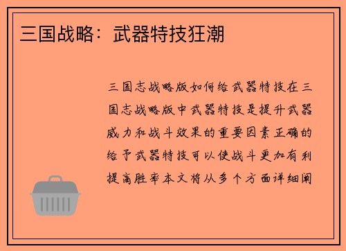 三国战略：武器特技狂潮