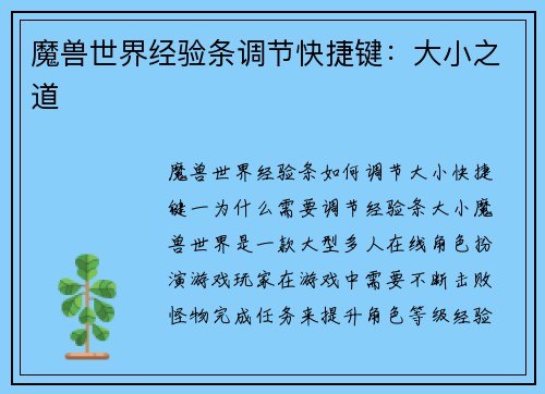 魔兽世界经验条调节快捷键：大小之道